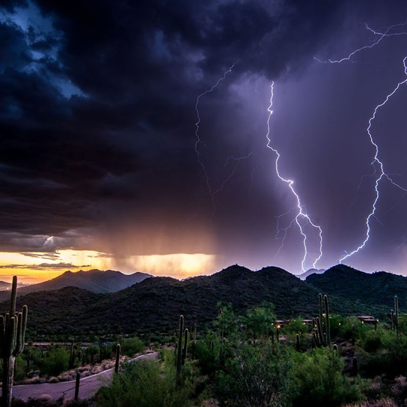 Dramatic lightning storm over desert mountains at sunset with silhouetted cacti in the foreground.