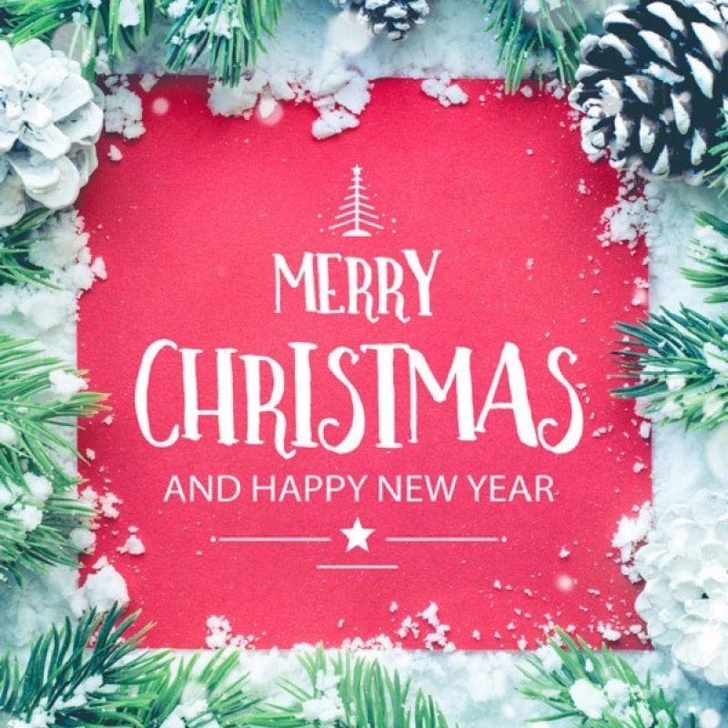 Festive Christmas and New Year greeting card with pine cones and snow-dusted branches surrounding a red background.