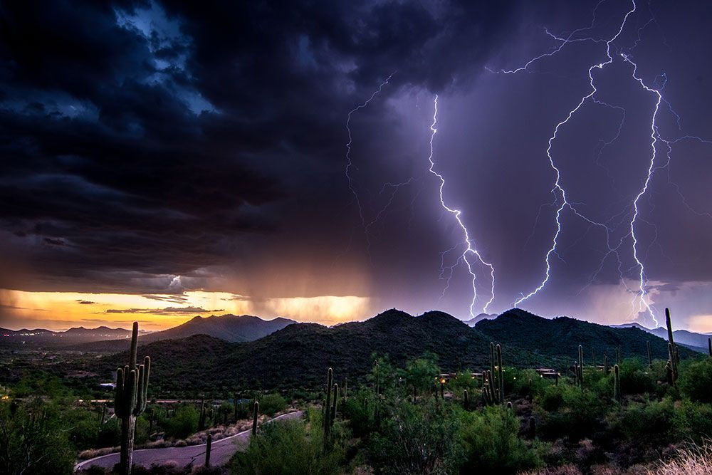 Dramatic lightning storm over desert mountains at sunset with silhouetted cacti in the foreground.