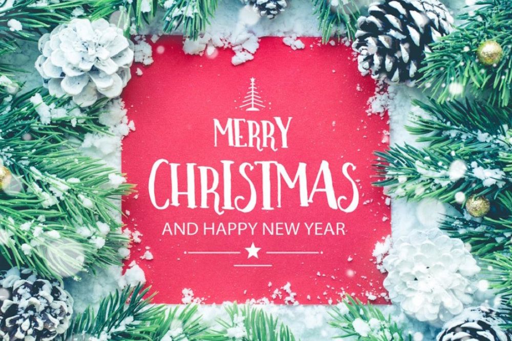 Festive Christmas and New Year greeting card with pine cones and snow-dusted branches surrounding a red background.